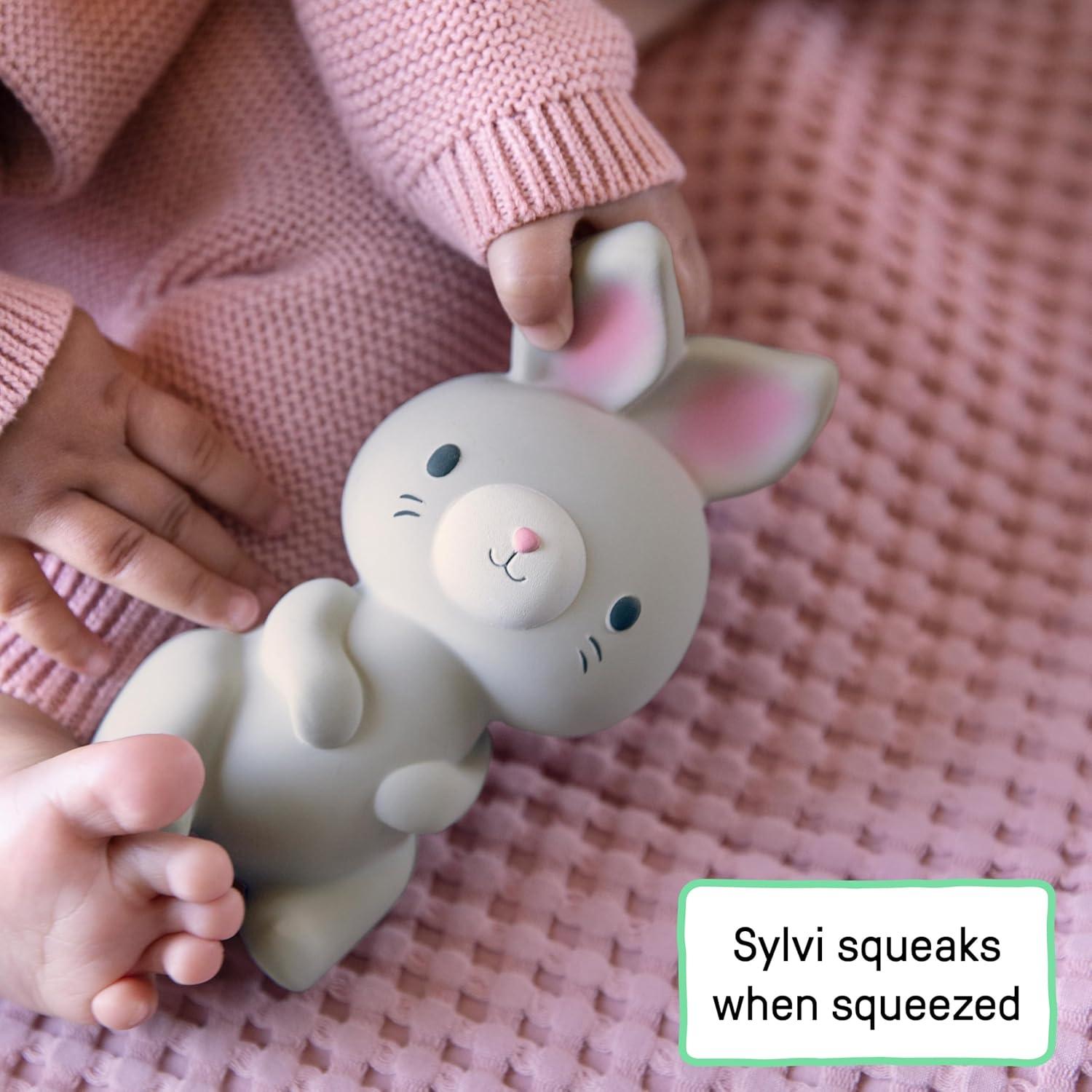 imageIngenuity TeethersSylvi