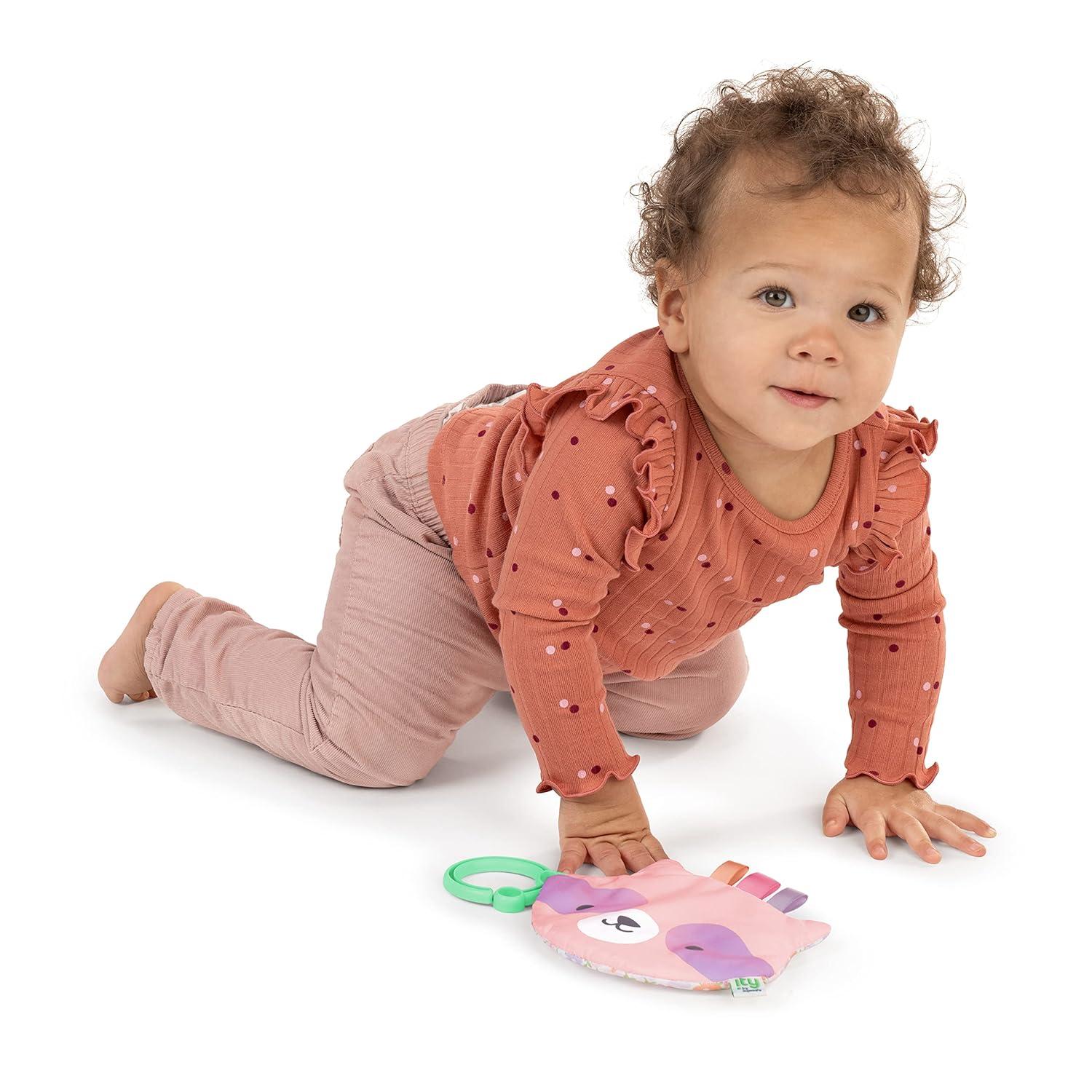 imageIngenuity ity by Ingenuity Crinklet Fox Crinkle Toy for Newborn and Up Satin Ribbon Tags CLink Attachment Unisex  KittDeni the Raccoon