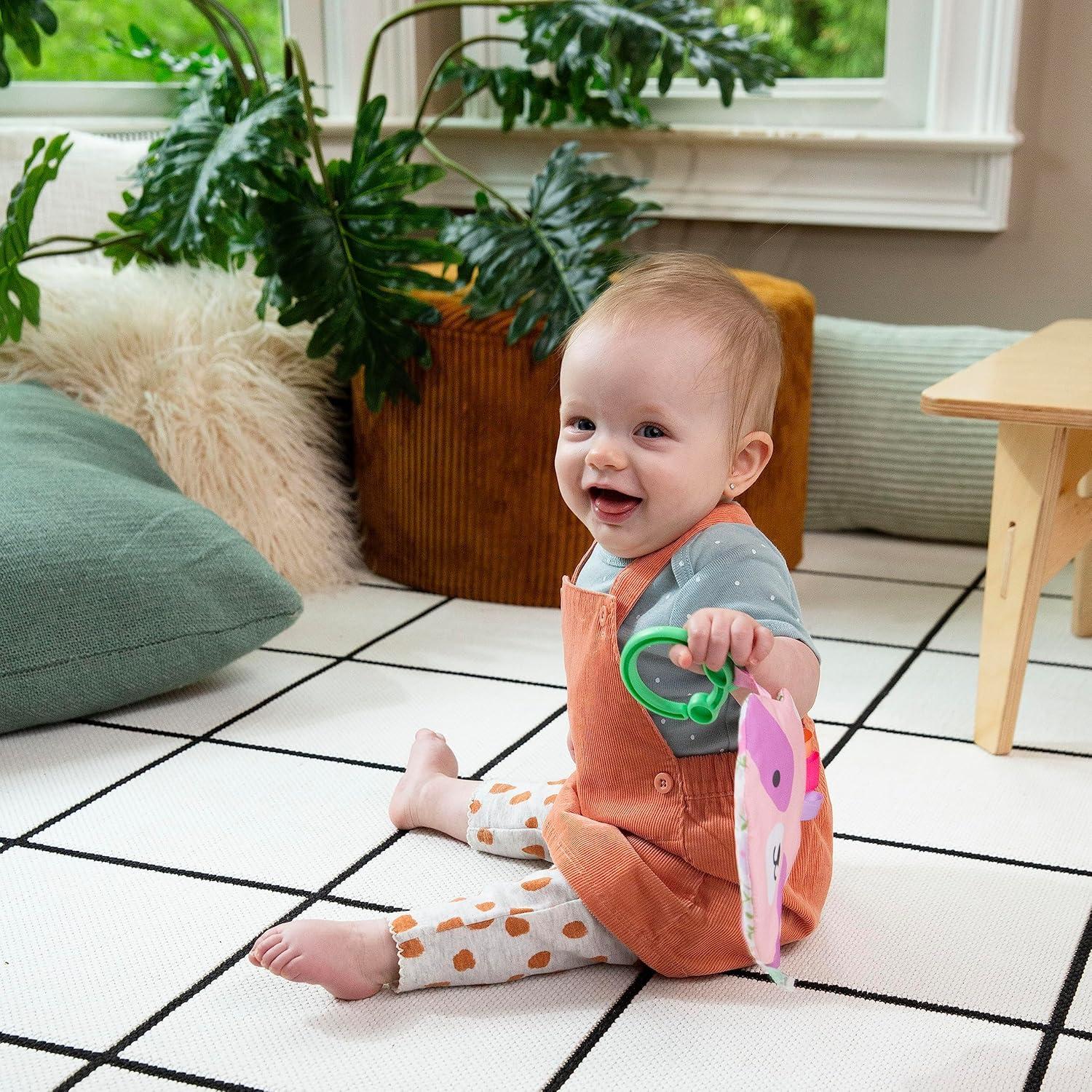 imageIngenuity ity by Ingenuity Crinklet Fox Crinkle Toy for Newborn and Up Satin Ribbon Tags CLink Attachment Unisex  KittDeni the Raccoon