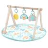 imageIngenuity Sheppys Spot Ultra Plush Baby Activity Gym ampamp Tummy Time Mat Newborn and up  CorrieSun Valley