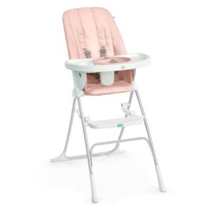 Ingenuity Sun Valley Compact Folding Baby High Chair, Food-Grade Safe Plate, 5-Point Harness, for Ages 6 Months and Up, Unisex – Teal(Sun Valley Pink)