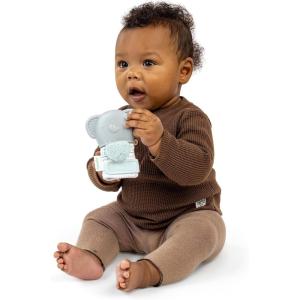 Ingenuity Teethers(Van the Elephant)