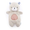 Nate the Teddy Bear