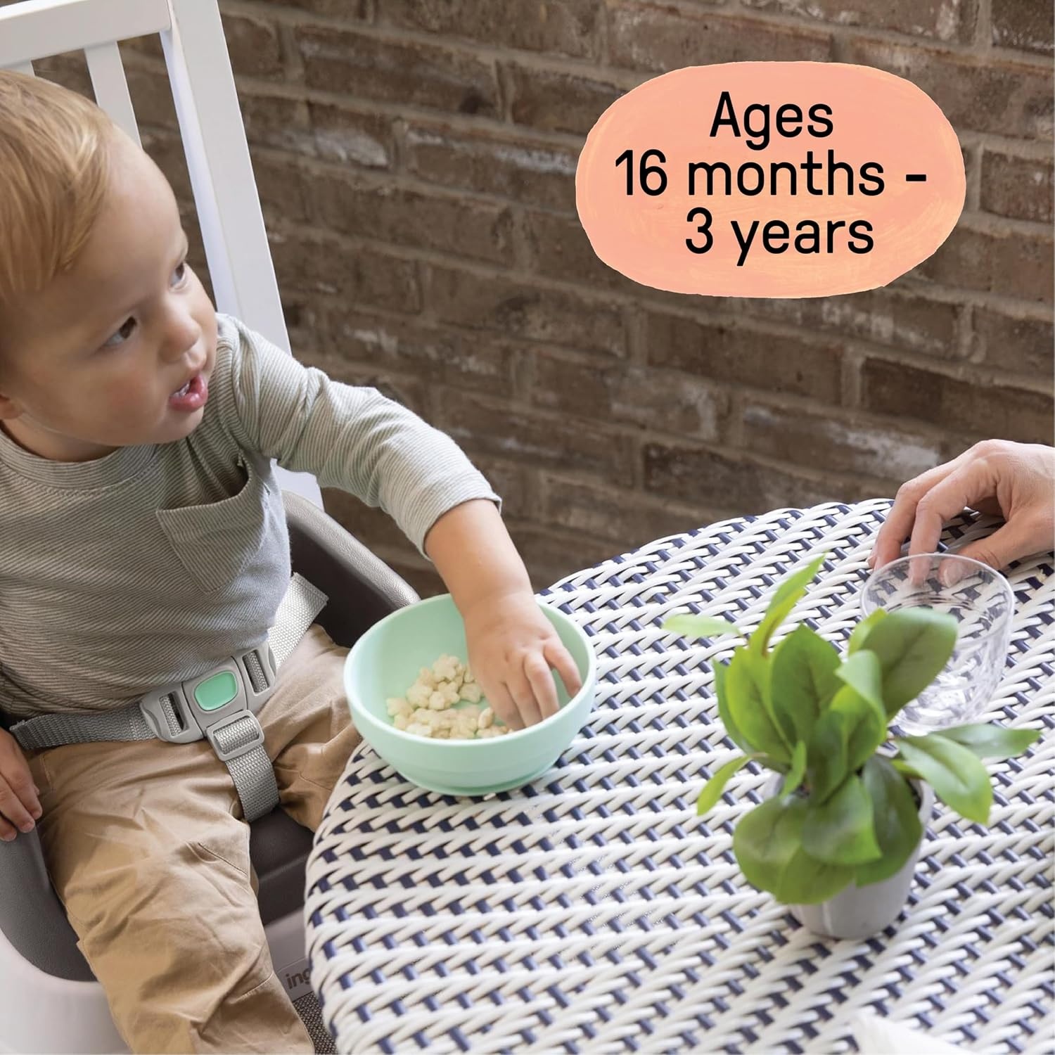 image:imageIngenuity SmartClean Toddler Booster Seat for Dining Table with 3Point Harness Straps PinkSlate